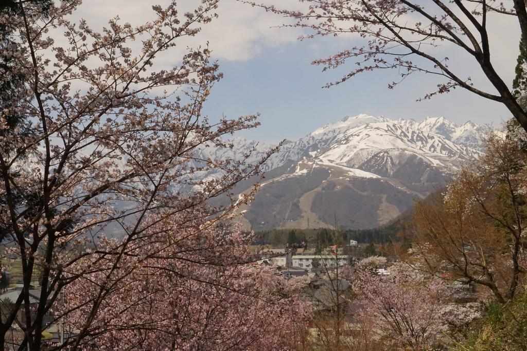 Share And Guest House Hakuba Share エクステリア 写真