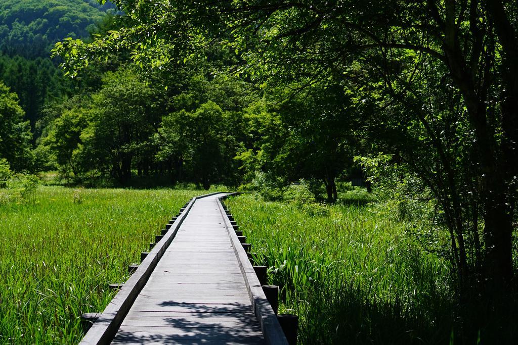 Share And Guest House Hakuba Share エクステリア 写真