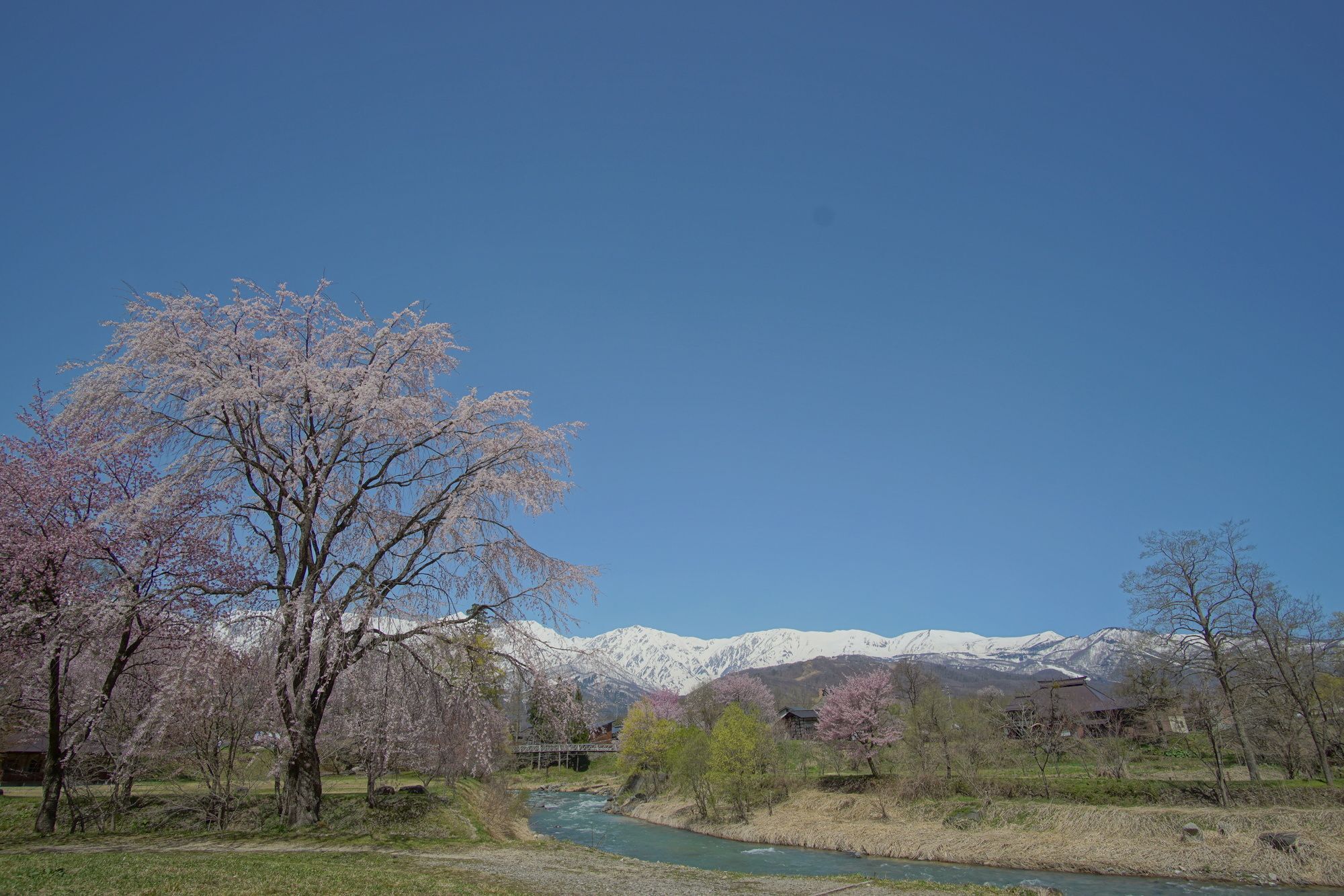 Share And Guest House Hakuba Share エクステリア 写真